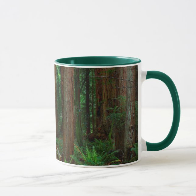Mug États-Unis, Californie. Chemin d'accès parmi les s (Droite)