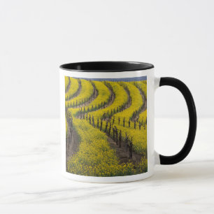 Mug États-Unis, Californie, Napa Valley, Los Carneros
