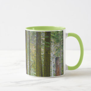 Mug États-Unis, Californie. Troncs d'arbres couverts d