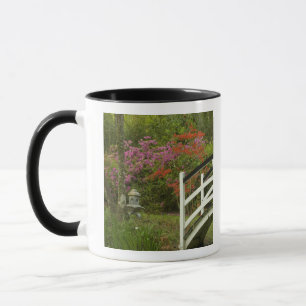 Mug États-Unis; Caroline du Sud; Charleston; 5