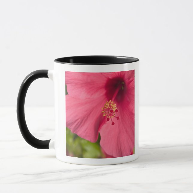 Mug États-Unis, Hawaï, Kauai, Hibiscus (Gauche)