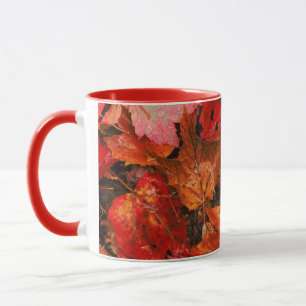 Mug États-Unis, Maine. Feuilles d'érable en automne