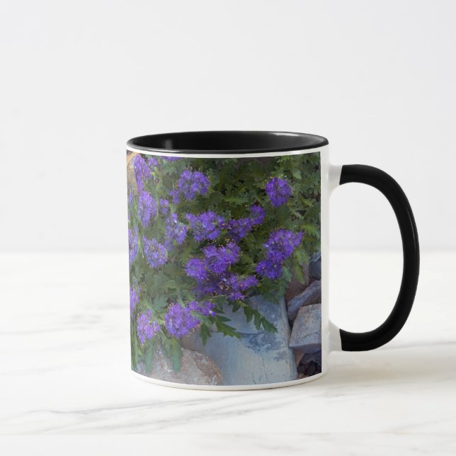 Mug États-Unis, Montana, Glacier National Park (Droite)