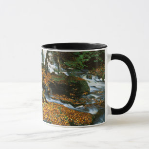 Mug États-Unis, Pennsylvanie, Parc d'État de Ricketts
