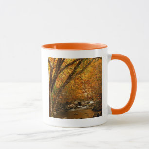 Mug États-Unis, Tennessee. Rushing Mountain Creek 3