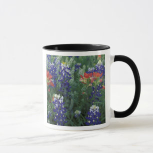 Mug États-Unis, Texas Hill Country. Bluebonnets et
