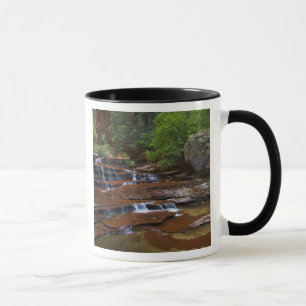 Mug États-Unis, Utah, parc national de Zion. Scénique 