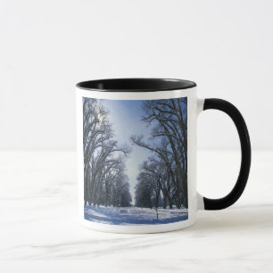 Mug États-Unis, Utah, Salt Lake City, Liberty Park,
