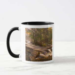 Mug États-Unis, Vermont, East Arlington, Ruisseaux cou