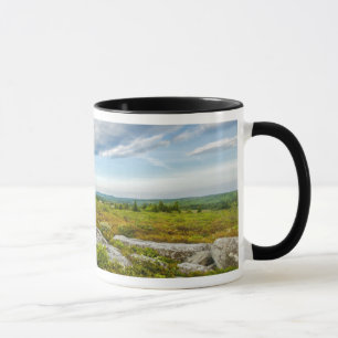 Mug États-Unis, Virginie-Occidentale, Davis. Paysage à