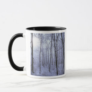 Mug États-Unis, Virginie, Zone faunique de Richard Tho