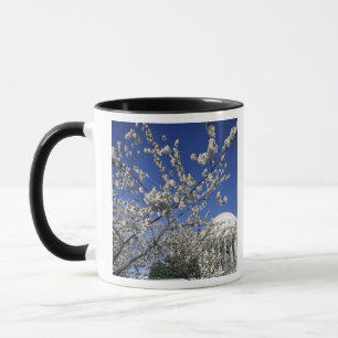 Mug États-Unis, Washington DC. Festival des fleurs de 