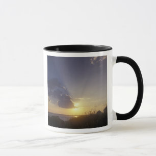 Mug États-Unis, Washington, près de Port Townsend. Poi
