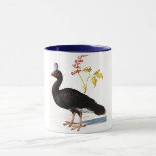 Mug Étude d'une Curassow Helmeted, Arcimboldo