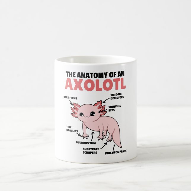 Mug Explication Axolotl Anatomie D'Un Axolotl (Centre)