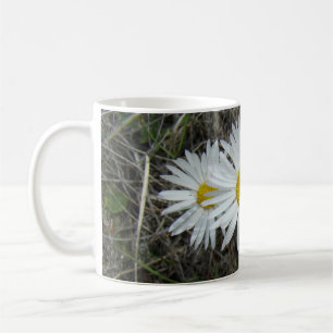 Mug F42 Fleurs sauvages blanches Aster lisse