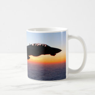 MUG F-14 TOMCAT "PATROLE DE SOLEIL"