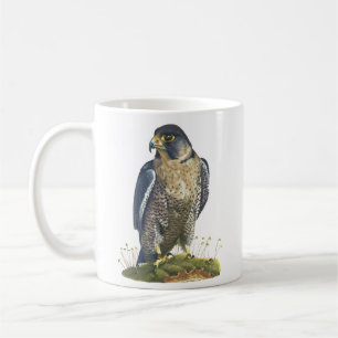 Mug Faucon pèlerin