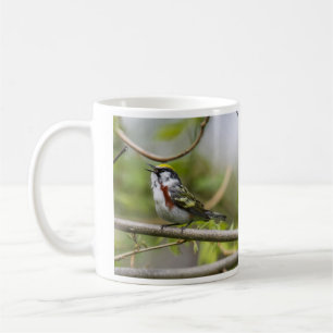 Mug fauvette Châtaigne-dégrossie