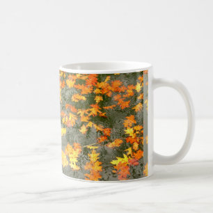 Mug feuille tombé sous la pluie