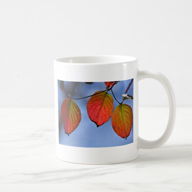 Mug Feuilles d'automne colorées illuminées Trio (Droite)