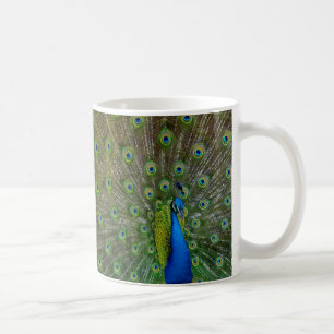 Mug fier comme paon