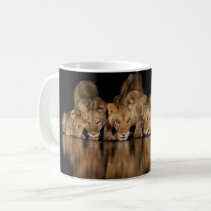 Mug Fierté de lions buvant au point d'eau la nuit