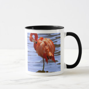 Mug Flamant sur une jambe dans l'eau