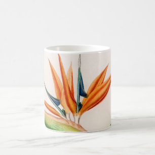 Mug Fleur du paradis vintage illustré