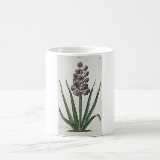 Mug Fleur Hyacinth (par Johann Michael Seligmann) (Centre)
