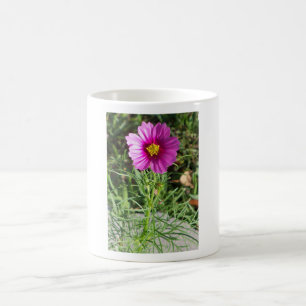 Mug Fleur marguerite Cosmos rose foncé