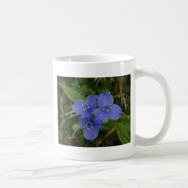 Mug Fleur sauvage Blue Spiderwort Hot Springs AR Cadea (Droite)