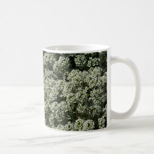 Mug Fleurs d'Alyssum doux Floral blanc
