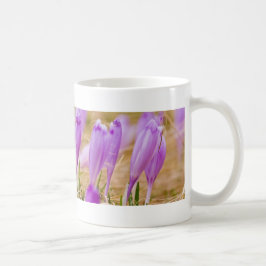 Mug Fleurs de Crocus pourpres en herbe