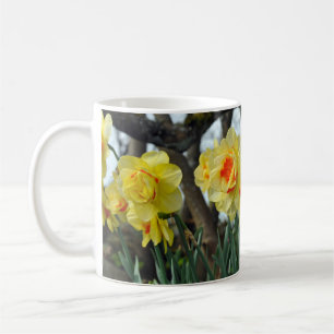 Mug Fleurs de jonquilles jaunes