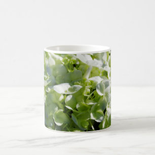 Mug Fleurs d'hydrangées vertes
