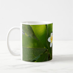 Mug Fleurs Frangipani parfumées