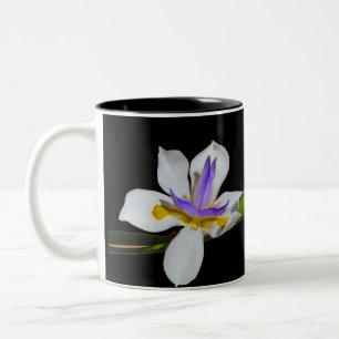 Mug - Fleurs Iris