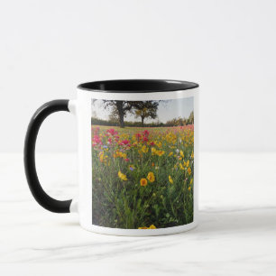 Mug fleurs sauvages de la route au Texas, printemps