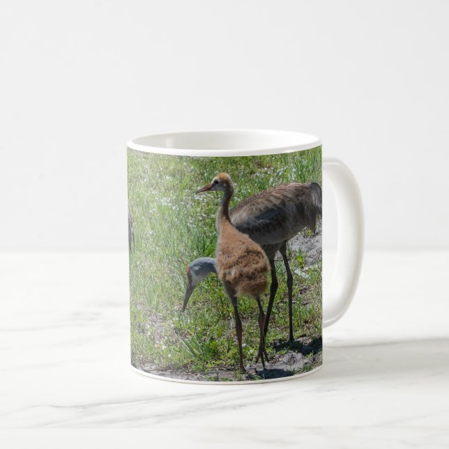 Mug Floride Sandhill Granes Nature Photographie (Devant droit)