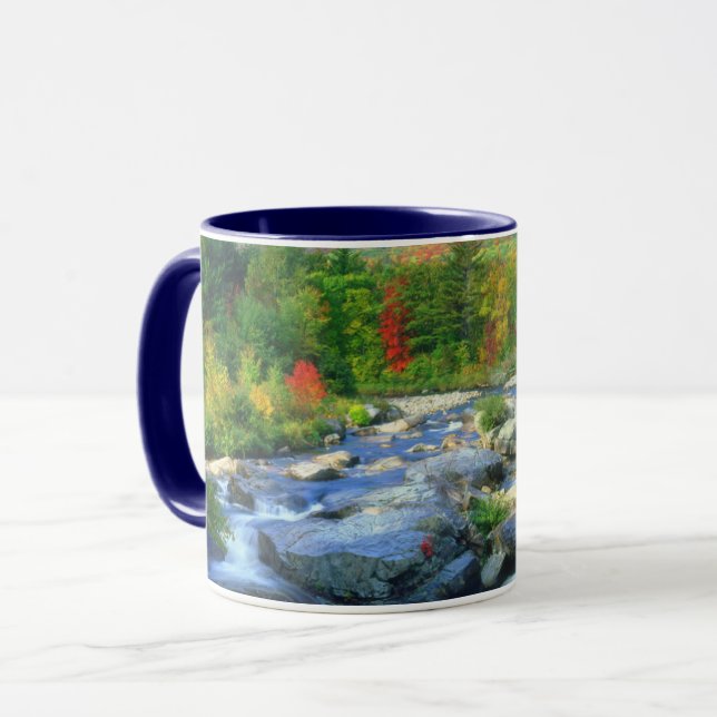 Mug Flume Falls | Monts Adirondack (Devant gauche)
