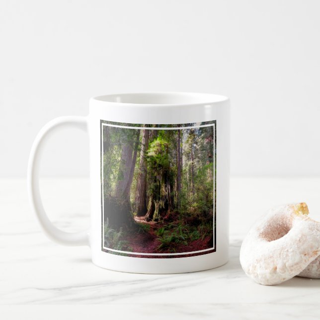 Mug Forest | Séquwood Forest California (Avec donut)