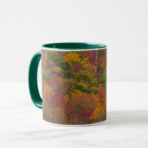Mug Forêt de feuillus dans le comté de Randolph, Virgi