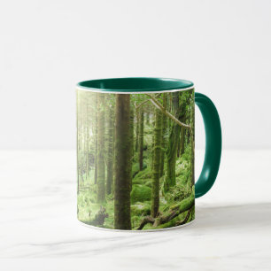 Mug Forêt en parc national Kerry, Irlande de