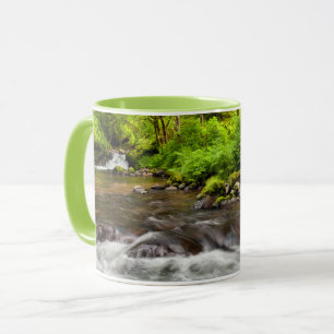 Mug Forêt nationale de Siuslaw, Sweet Creek, Oregon