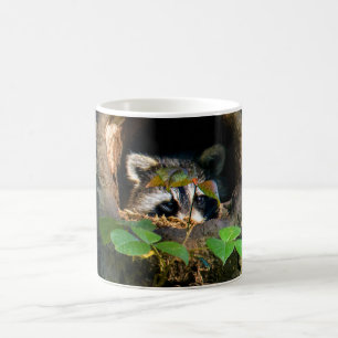 Mug Forêt   Raccoon Peeking