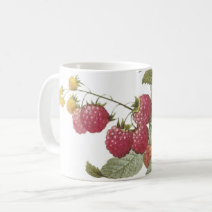 Mug framboise (Rubus sp.) par Redouté