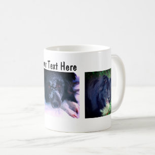 Mug Frontière Collie Trio Chien Photographie