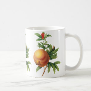 Mug Fruit alimentaire vintage, grenade de Redoute