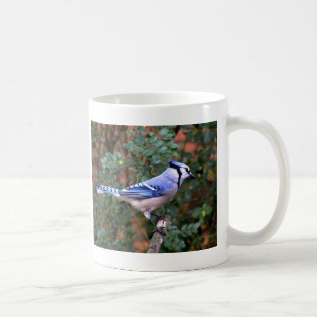 Mug Geai bleu magnifique (Droite)